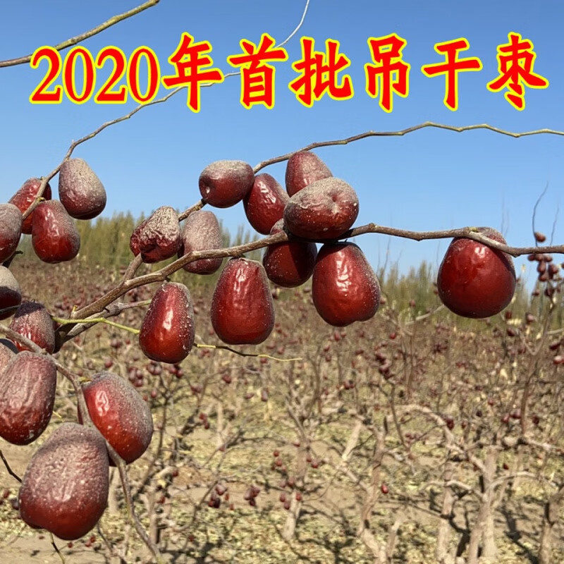新疆和田大紅棗 天然營養(yǎng)，健康零食新選擇