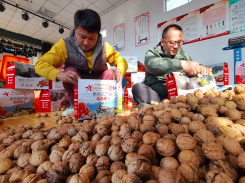 延慶大莊科 54萬(wàn)公斤山楂的逆襲之路