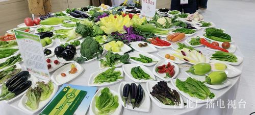 河北農(nóng)產(chǎn)品緣何走俏中國(guó)農(nóng)交會(huì)——聚焦初級(jí)農(nóng)產(chǎn)品的獨(dú)特魅力