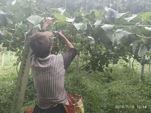 我市五家企業喜獲“安徽省大學生返鄉創業示范基地（園）”稱號，聚焦初級農產品發展