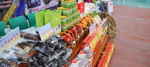 資源縣電商年貨狂歡節暨電商精準扶貧展銷會 初級農產品的一舉三贏新篇章