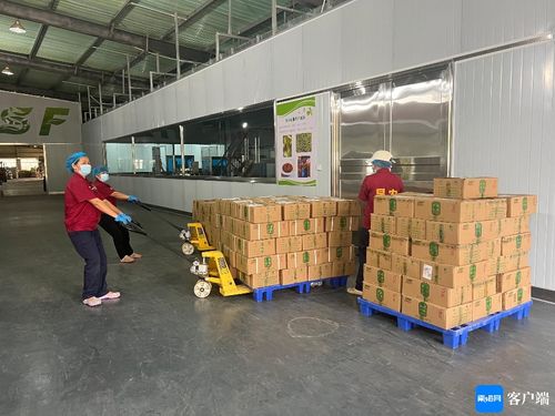 海口大坡胡椒香飄海外，2.5噸訂單成功出口新加坡