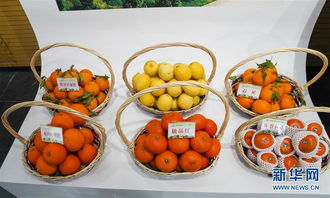 重慶長壽 以“慢”為筆，繪就農旅融合新畫卷