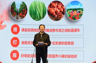 三區三州貧困地區農產品產銷對接專場啟動，現場簽約額突破45億元助力鄉村振興