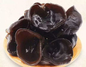 從初級農產品到知名品牌 探析優質黑木耳的市場價格與價值躍升