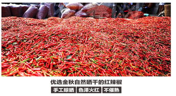 魔鬼的誘惑 匯爾康印度魔鬼辣椒，點燃味蕾的香辣風暴