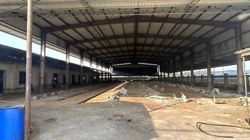 讓農產品遠香近美 上海金山推動畜禽養殖業綠色轉型，守護初級農產品安全與品質