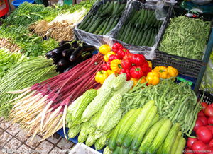 青島氣溫升高，菜價延續回落態勢，初級農產品市場趨于平穩